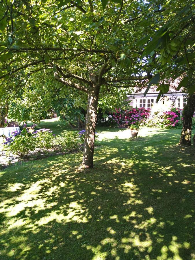 Ouddorp Vakantiehuisje Exterior foto