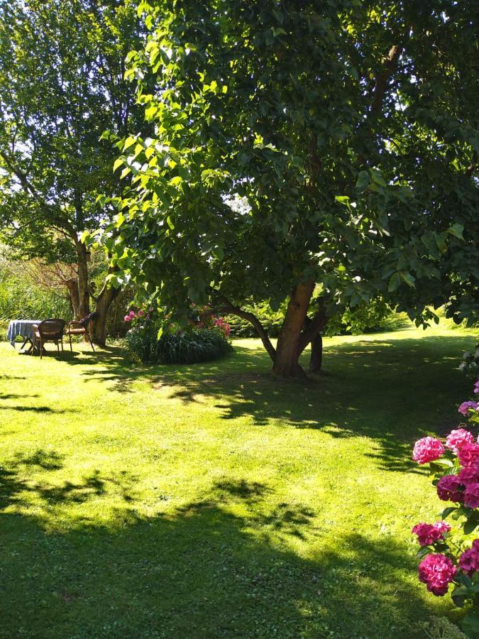Ouddorp Vakantiehuisje Exterior foto