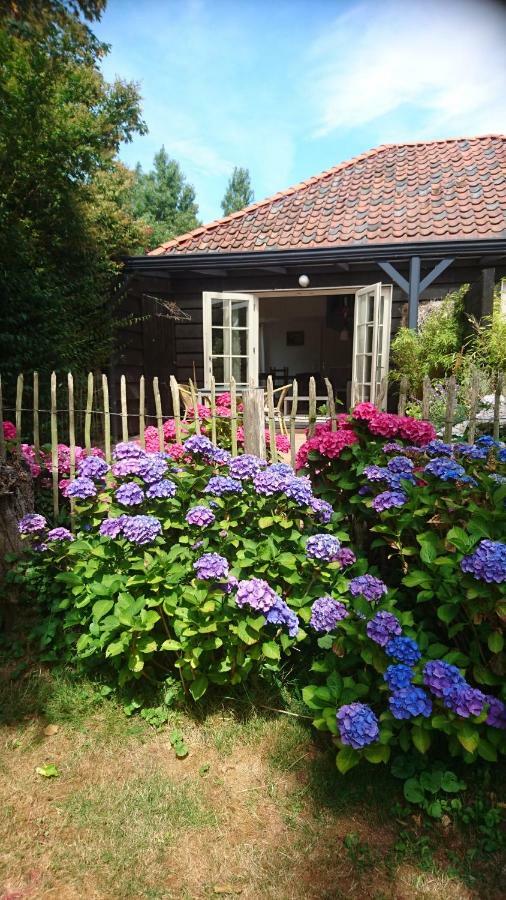 Ouddorp Vakantiehuisje Exterior foto