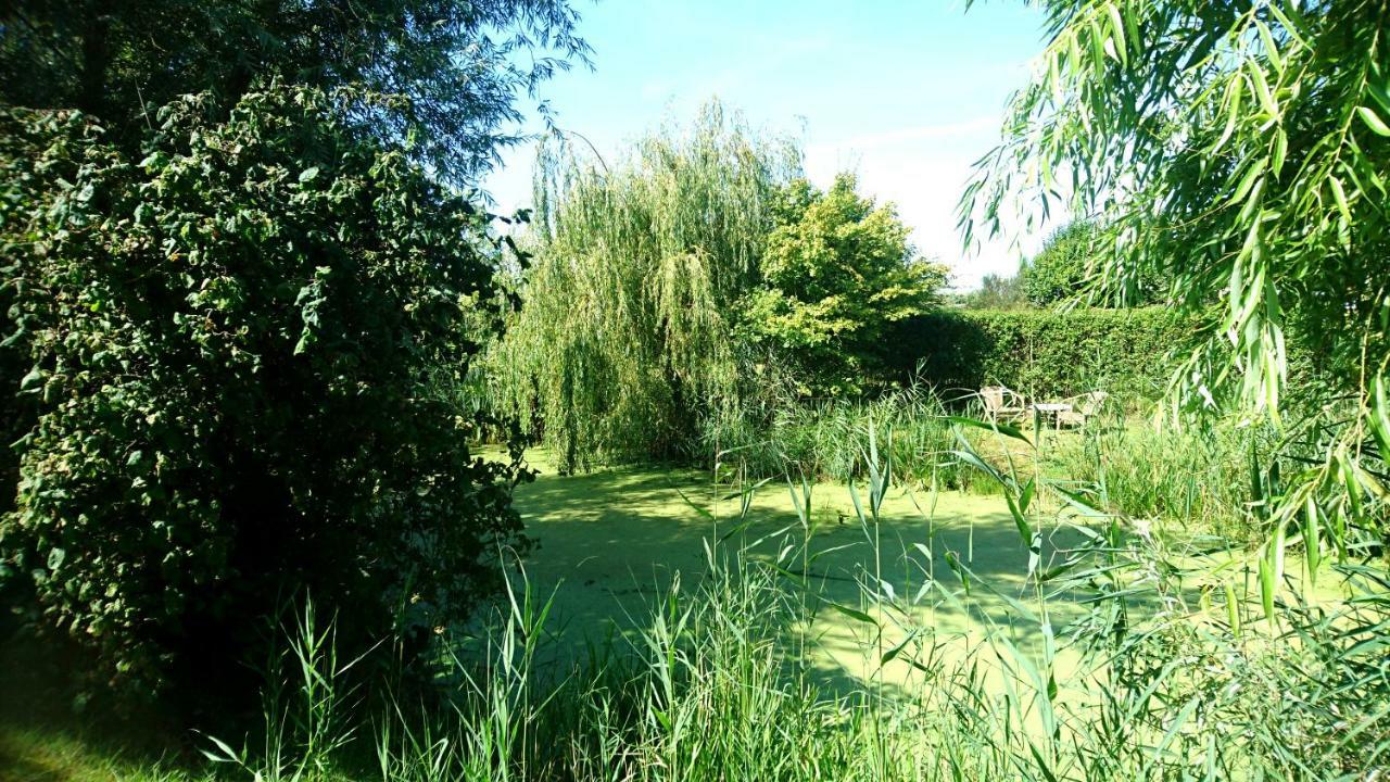 Ouddorp Vakantiehuisje Exterior foto